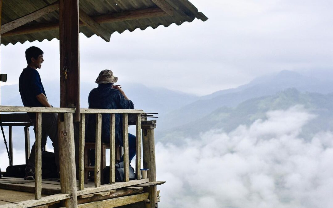 Analogists Weg zur Exzellenz: Höhepunkte von 2025