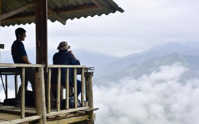 Analogists Weg zur Exzellenz: Höhepunkte von 2025