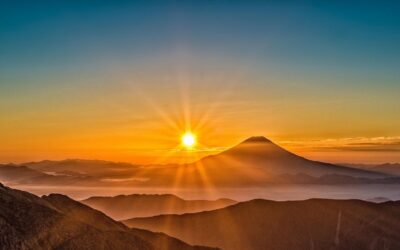 The Ultimate Comparison: Fuji SP-3000 vs. SP-2500 vs. Noritsu HS-1800