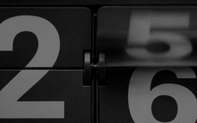 Rückblick auf ein prägendes Jahr: Analogist 2025